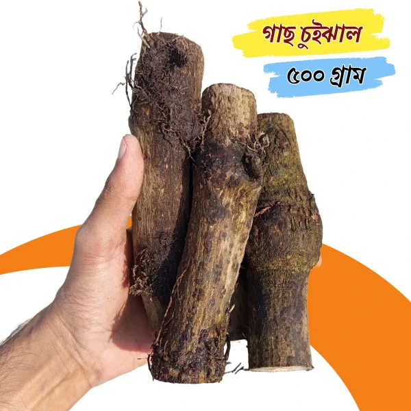 গাছ চুইঝাল nibras