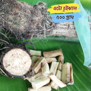 এটো চুইঝাল nibras